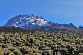 Kilimanjaro Climb Rongai Route