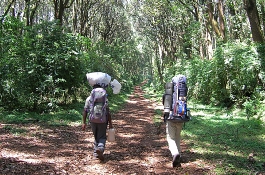 Kilimanjaro Climb Umbwe Route