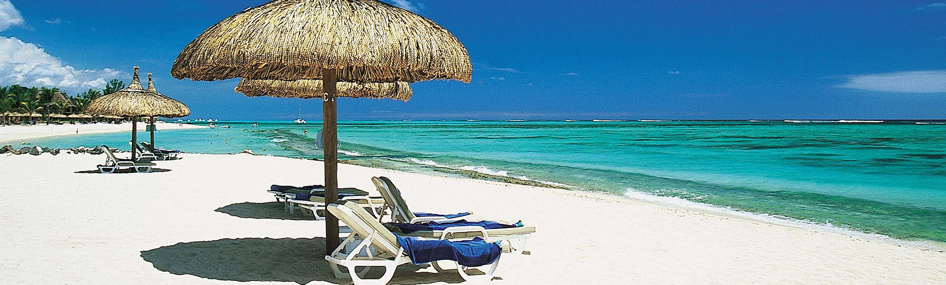 The Spicy Island of Zanzibar